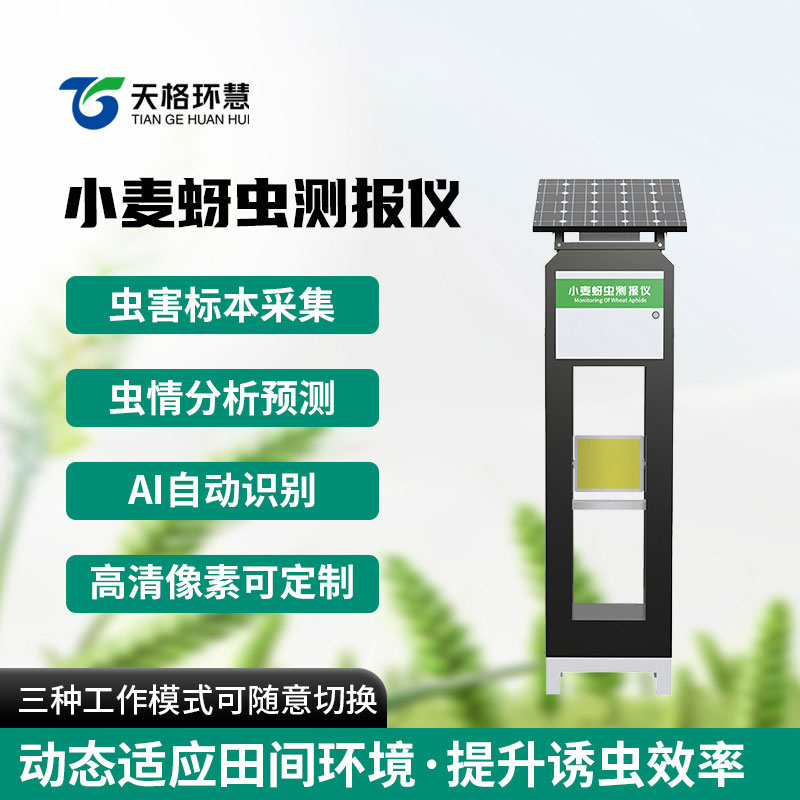 小麦蚜虫测报仪